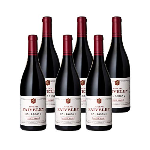 2020 Bourgogne Pinot Noir - Domaine Faiveley - Rotwein trocken aus Burgund/Frankreich (6x 0,75L) von Domaine Faiveley