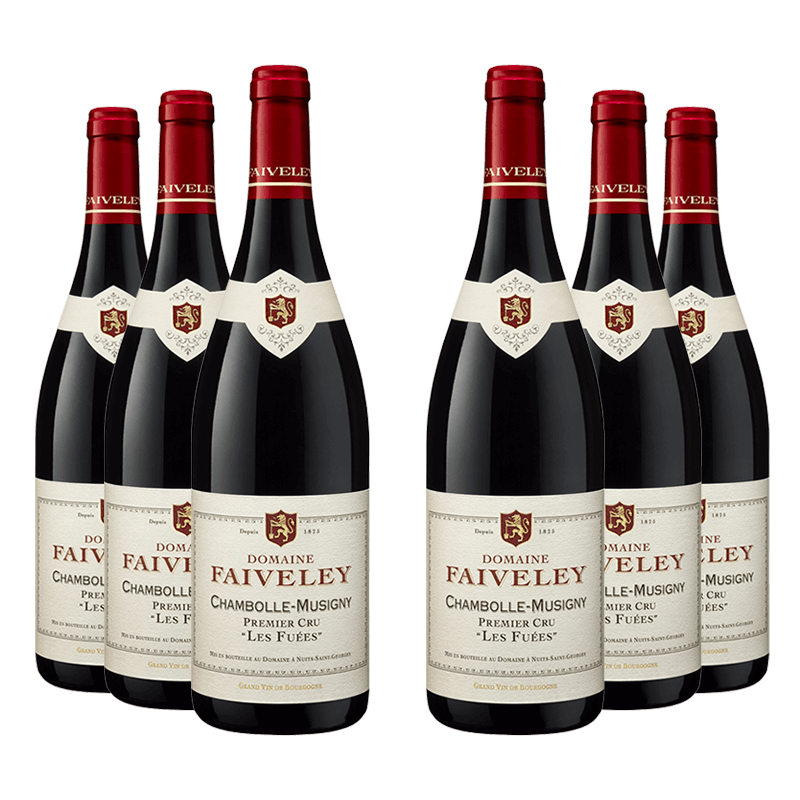 Domaine Faiveley : Chambolle-Musigny 1er cru "Les Fuées" 2022 Domaine Faiveley : Chambolle-Musigny 1er cru "Les Fuées" 2022 von Domaine Faiveley