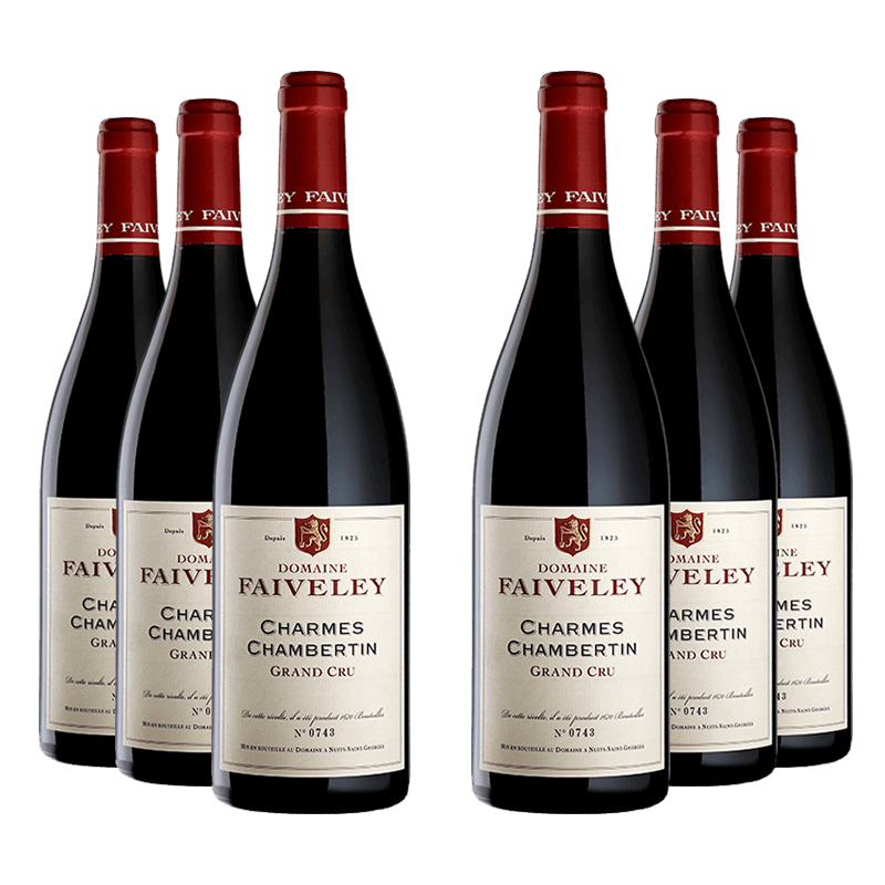 Domaine Faiveley : Charmes-Chambertin Grand cru 2016 Domaine Faiveley : Charmes-Chambertin Grand cru 2016 von Domaine Faiveley