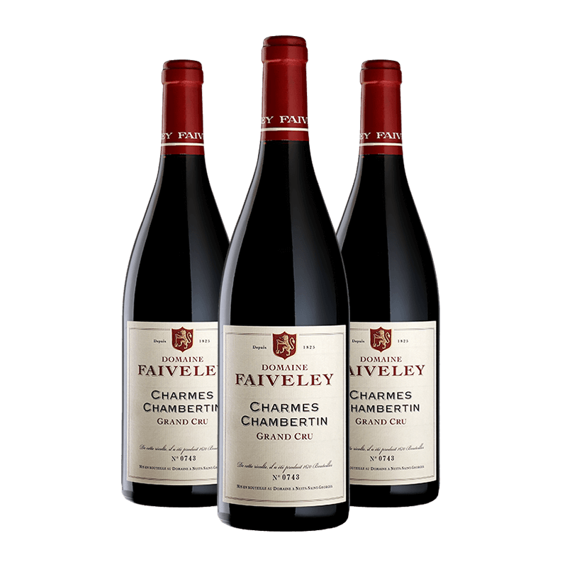 Domaine Faiveley : Charmes-Chambertin Grand cru 2017 Domaine Faiveley : Charmes-Chambertin Grand cru 2017 von Domaine Faiveley