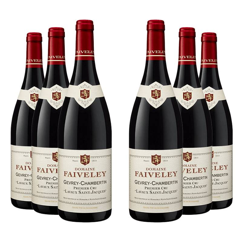 Domaine Faiveley : Gevrey-Chambertin 1er cru "Lavaux Saint-Jacques" 2021 von Domaine Faiveley