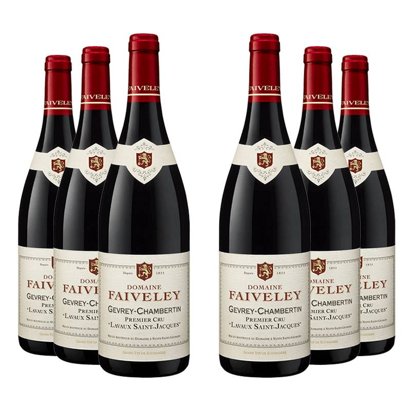 Domaine Faiveley : Gevrey-Chambertin 1er cru "Lavaux Saint-Jacques" 2023 von Domaine Faiveley