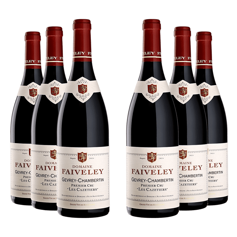 Domaine Faiveley : Gevrey-Chambertin 1er cru "Les Cazetiers" 2021 von Domaine Faiveley