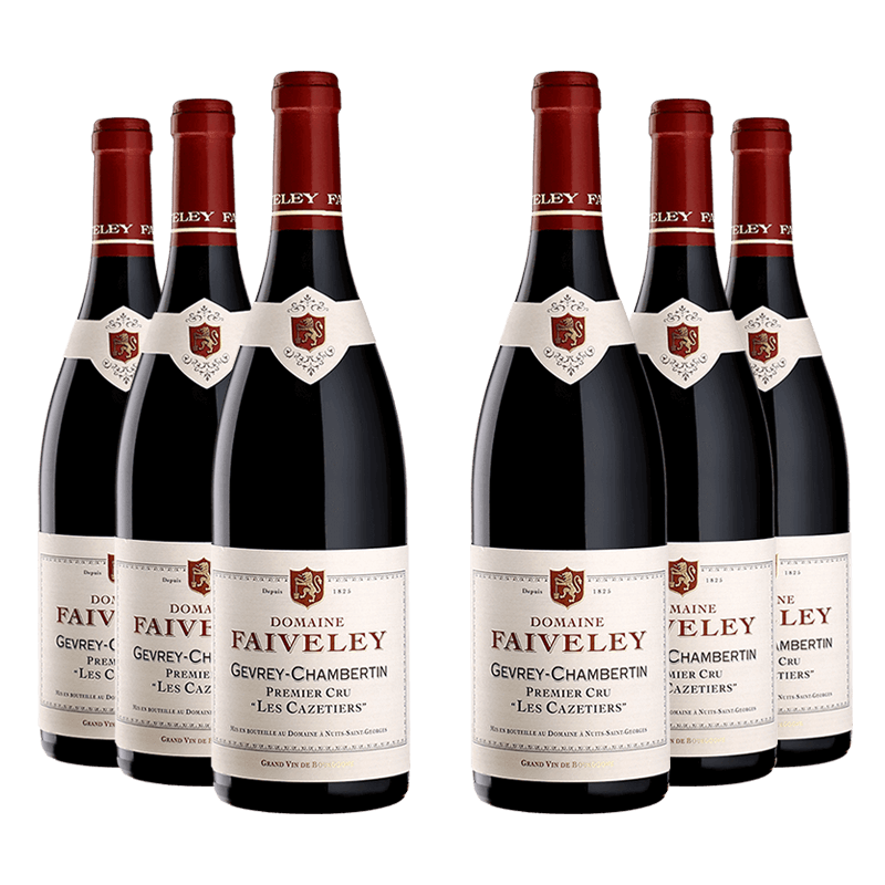 Domaine Faiveley : Gevrey-Chambertin 1er cru "Les Cazetiers" 2023 Domaine Faiveley : Gevrey-Chambertin 1er cru "Les Cazetiers" 2023 von Domaine Faiveley