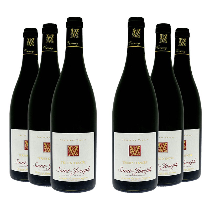 Domaine Georges Vernay : Terres d'Encre 2022 von Domaine Georges Vernay