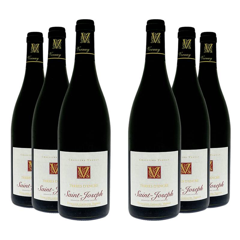 Domaine Georges Vernay : Terres d'Encre 2022 von Domaine Georges Vernay