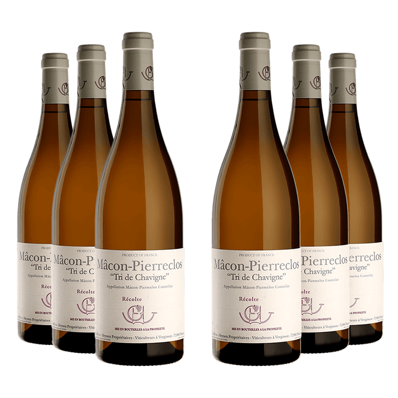 Domaine Guffens-Heynen : Mâcon-Pierreclos "Tri de Chavigne" 2023 Domaine Guffens-Heynen : Mâcon-Pierreclos "Tri de Chavigne" 2023 von Domaine Guffens-Heynen