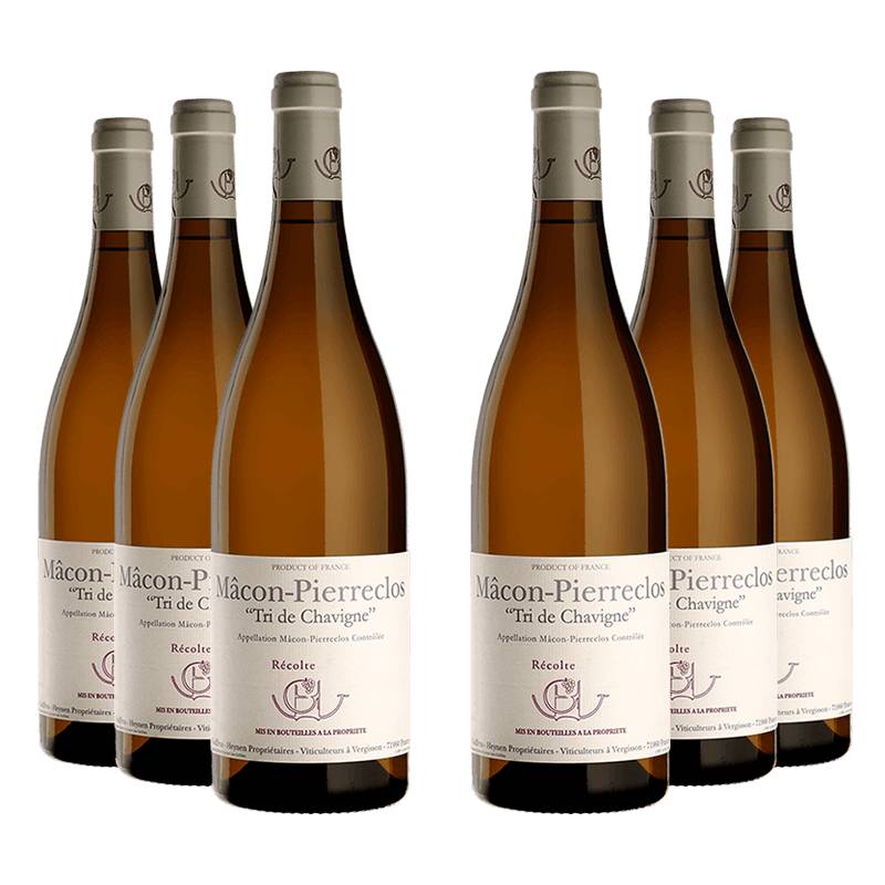 Domaine Guffens-Heynen : Mâcon-Pierreclos "Tri de Chavigne" 2023 von Domaine Guffens-Heynen