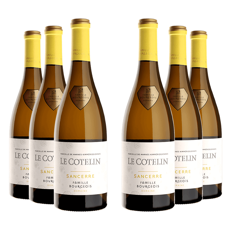 Domaine Henri Bourgeois : Le Cotelin 2020 Domaine Henri Bourgeois : Le Cotelin 2020 von Domaine Henri Bourgeois