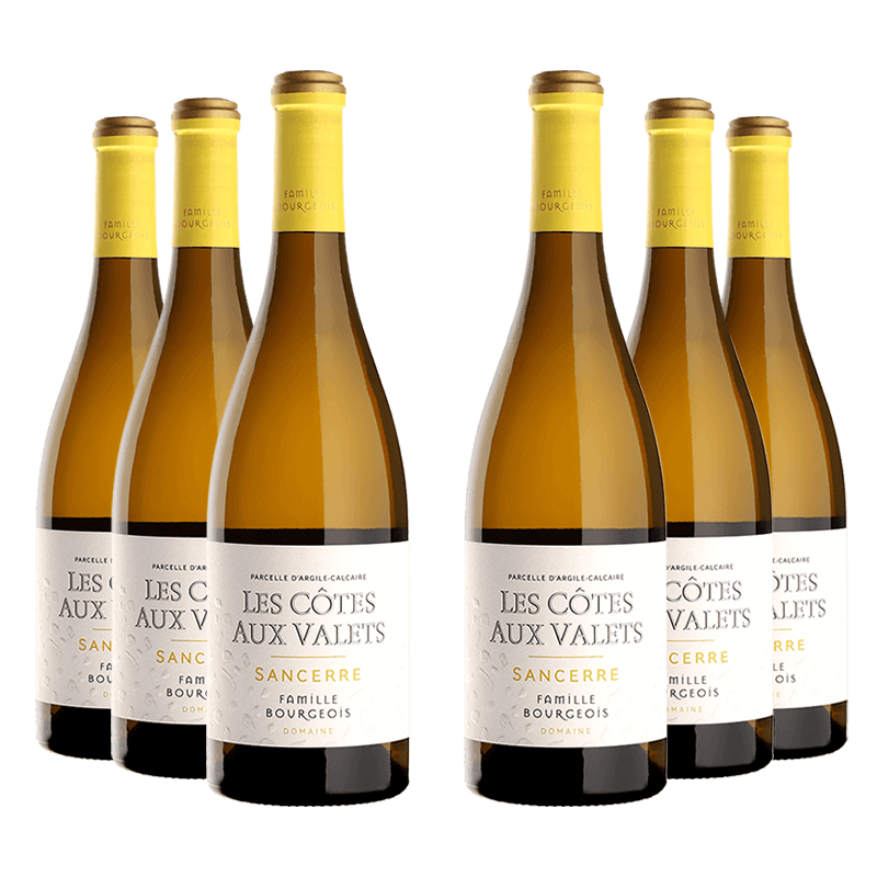 Domaine Henri Bourgeois : Les Côtes aux Valets 2018 von Domaine Henri Bourgeois