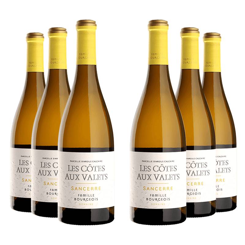 Domaine Henri Bourgeois : Les Côtes aux Valets 2018 von Domaine Henri Bourgeois