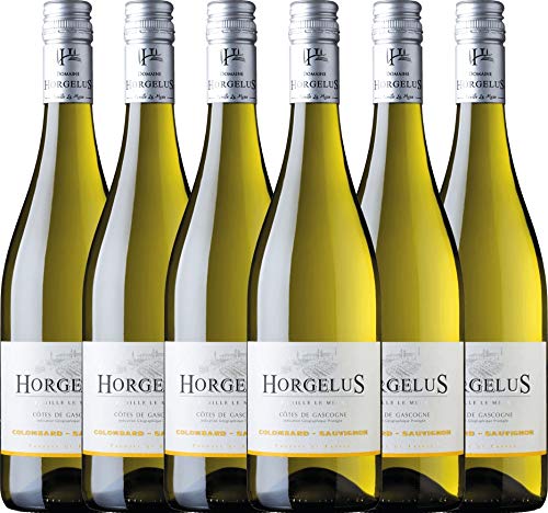 6er Paket - Horgelus Blanc 2018 - Domaine Horgelus mit VINELLO.weinausgießer | trockener Weißwein | französischer Sommerwein aus Sud Ouest | 6 x 0,75 Liter 6er Paket - Horgelus Blanc 2018 - Domaine Horgelus mit VINELLO.weinausgießer | trockener Weißwein | französischer Sommerwein aus Sud Ouest | 6 x 0,75 Liter von Domaine Horgelus