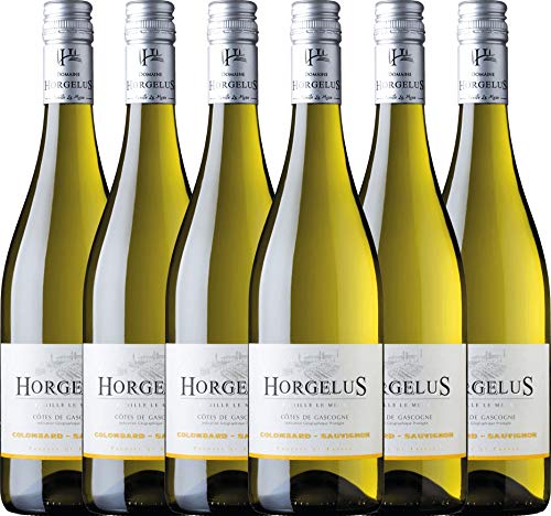 6er Paket - Horgelus Blanc 2018 - Domaine Horgelus mit VINELLO.weinausgießer | trockener Weißwein | französischer Sommerwein aus Sud Ouest | 6 x 0,75 Liter von Domaine Horgelus