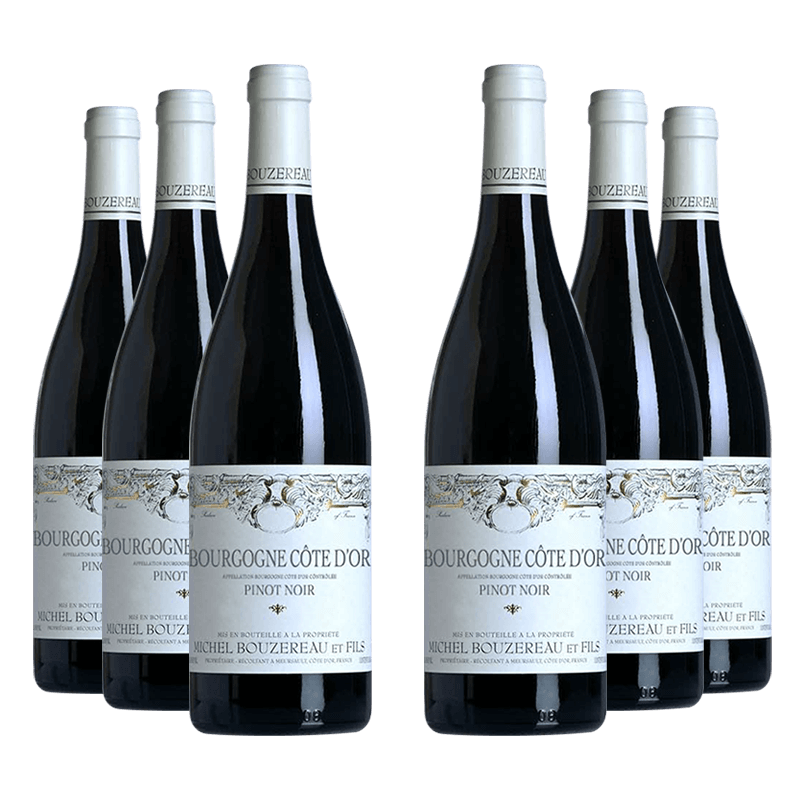 Domaine Michel Bouzereau et Fils : Bourgogne Côte d'Or "Pinot Noir" 2022 Domaine Michel Bouzereau et Fils : Bourgogne Côte d'Or "Pinot Noir" 2022 von Domaine Michel Bouzereau et Fils