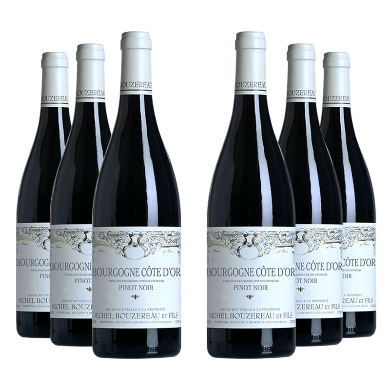 Domaine Michel Bouzereau et Fils : Bourgogne Côte d'Or "Pinot Noir" 2022 von Domaine Michel Bouzereau et Fils