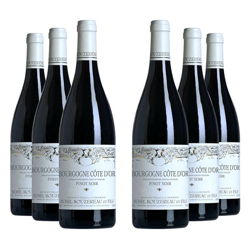 Domaine Michel Bouzereau et Fils : Bourgogne Côte d'Or "Pinot Noir" 2022 von Domaine Michel Bouzereau et Fils