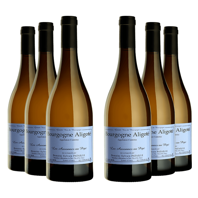 Domaine Sylvain Pataille : Bourgogne Aligoté "Les Auvonnes au Pépé" 2022 Domaine Sylvain Pataille : Bourgogne Aligoté "Les Auvonnes au Pépé" 2022 von Domaine Sylvain Pataille