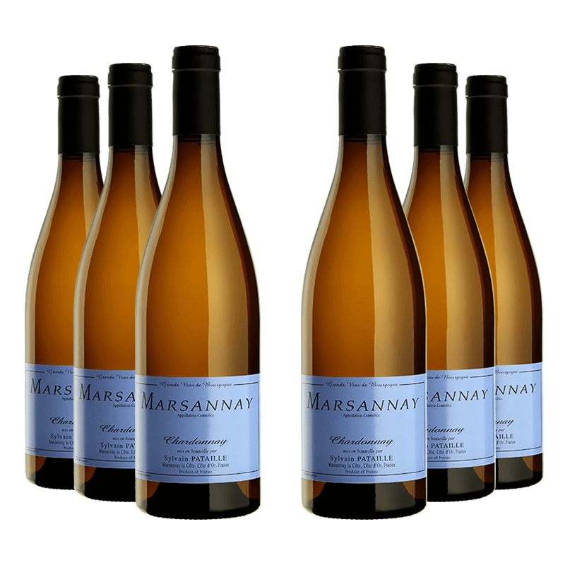 Domaine Sylvain Pataille : Marsannay Village 2022 Domaine Sylvain Pataille : Marsannay Village 2022 von Domaine Sylvain Pataille