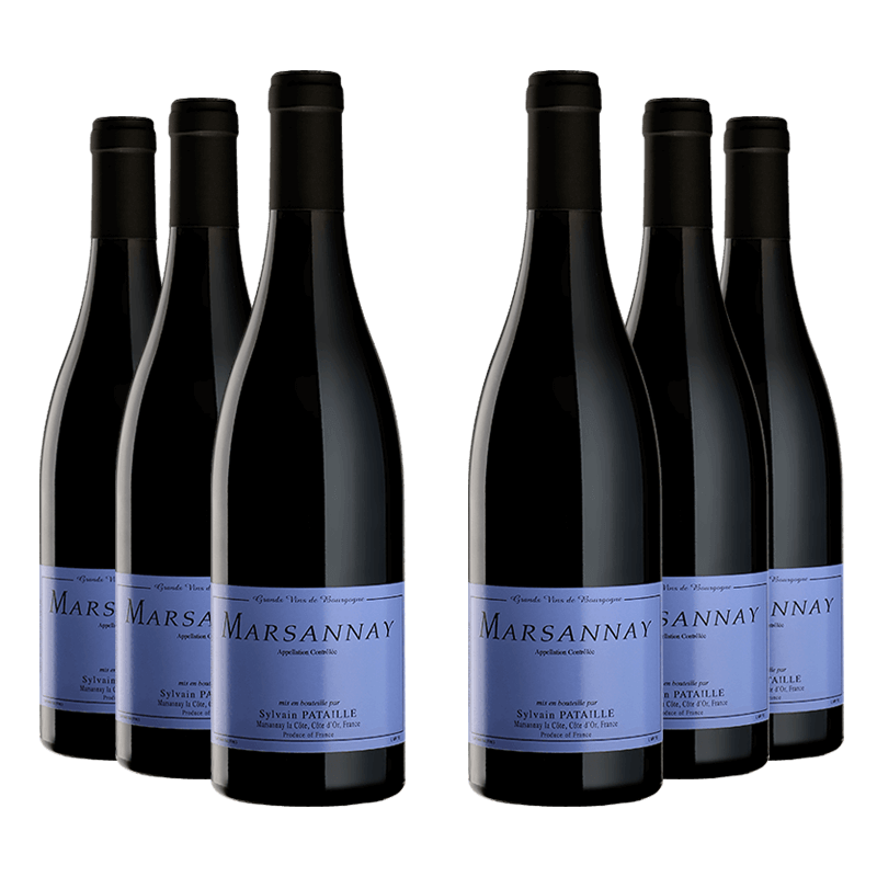 Domaine Sylvain Pataille : Marsannay Village 2023 Domaine Sylvain Pataille : Marsannay Village 2023 von Domaine Sylvain Pataille