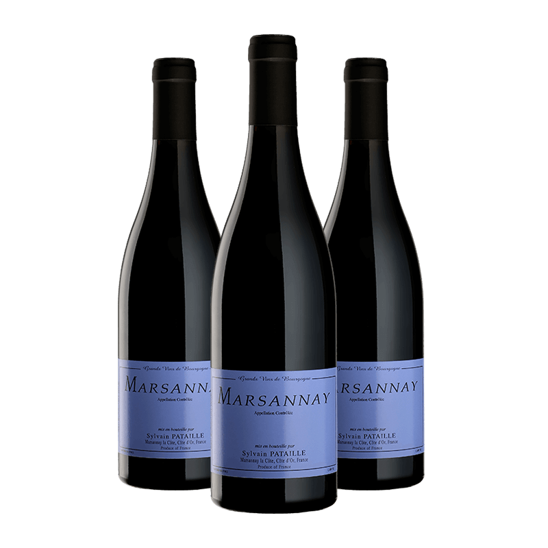 Domaine Sylvain Pataille : Marsannay Village 2023 Domaine Sylvain Pataille : Marsannay Village 2023 von Domaine Sylvain Pataille