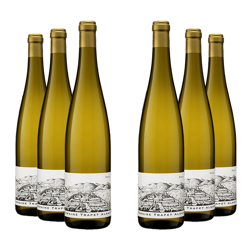 Domaine Trapet : Gewurztraminer Sporen Grand cru 2016 Domaine Trapet : Gewurztraminer Sporen Grand cru 2016 von Domaine Trapet