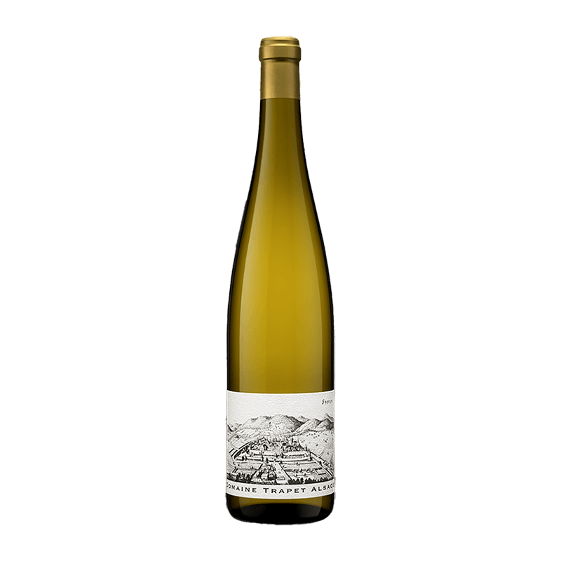 Domaine Trapet : Gewurztraminer Sporen Grand cru 2016 Domaine Trapet : Gewurztraminer Sporen Grand cru 2016 von Domaine Trapet