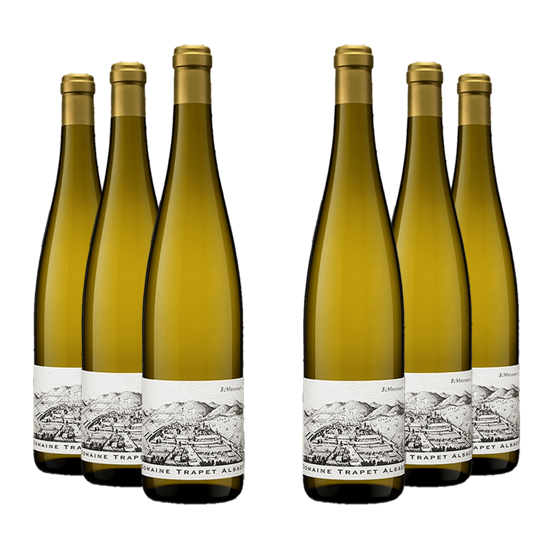 Domaine Trapet : Riesling Schlossberg Grand Cru 2019 Domaine Trapet : Riesling Schlossberg Grand Cru 2019 von Domaine Trapet