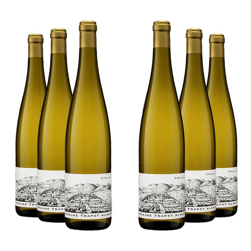 Domaine Trapet : Riesling Schlossberg Grand Cru 2019 von Domaine Trapet