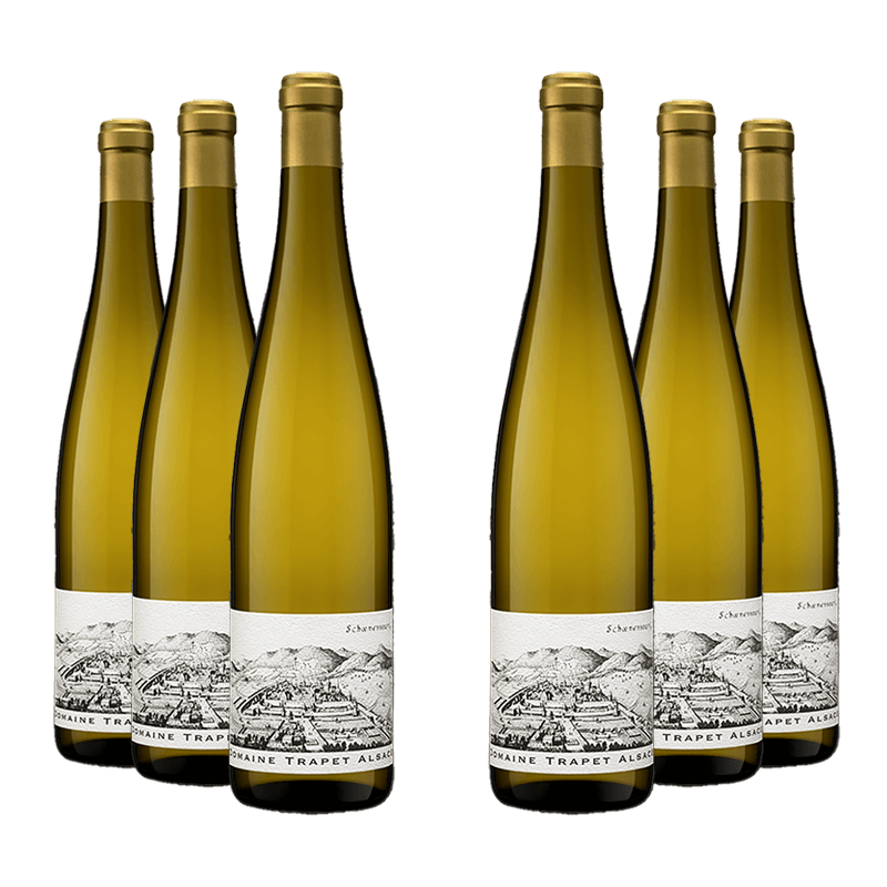Domaine Trapet : Riesling Schoenenbourg Grand cru 2019 Domaine Trapet : Riesling Schoenenbourg Grand cru 2019 von Domaine Trapet