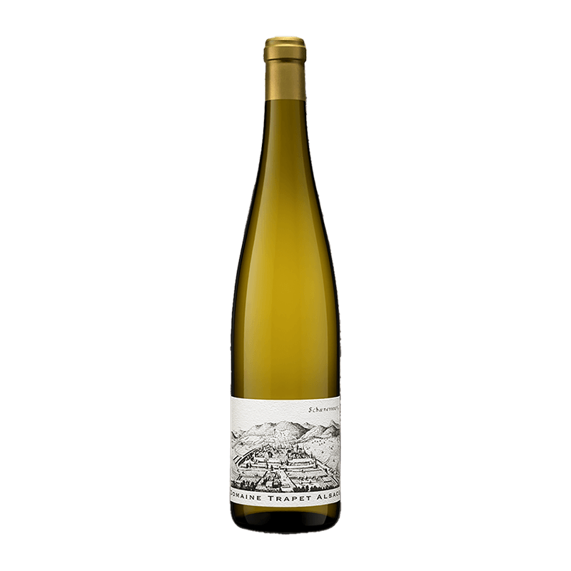 Domaine Trapet : Riesling Schoenenbourg Grand cru 2019 Domaine Trapet : Riesling Schoenenbourg Grand cru 2019 von Domaine Trapet