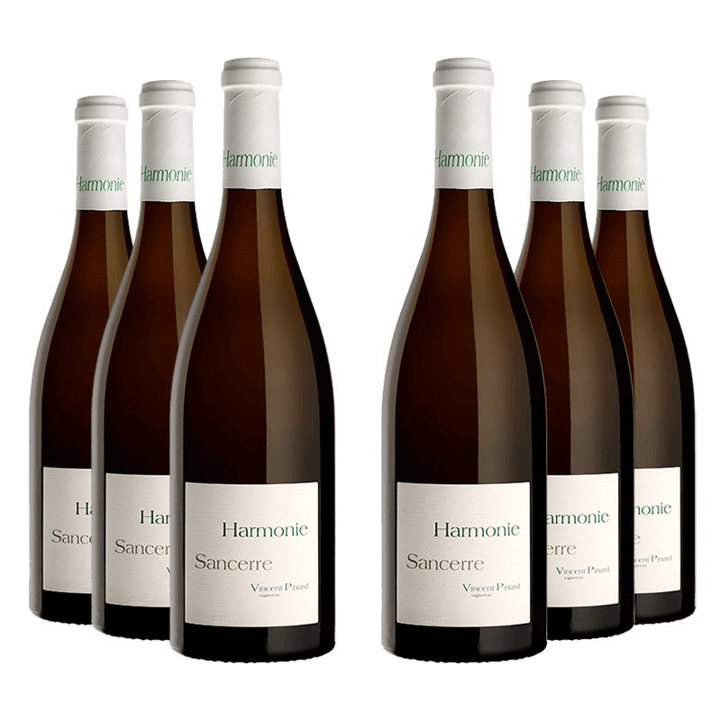 Domaine Vincent Pinard : Harmonie 2022 Domaine Vincent Pinard : Harmonie 2022 von Domaine Vincent Pinard