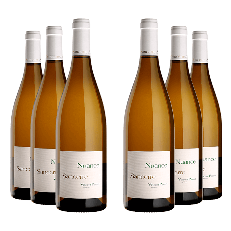 Domaine Vincent Pinard : Nuance 2023 Domaine Vincent Pinard : Nuance 2023 von Domaine Vincent Pinard