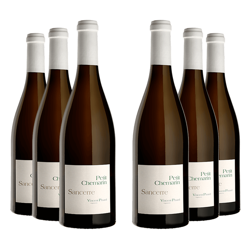Domaine Vincent Pinard : Petit Chemarin 2023 Domaine Vincent Pinard : Petit Chemarin 2023 von Domaine Vincent Pinard