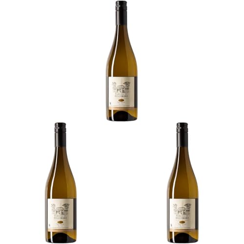 Domaine de Bellemare Sauvignon blanc trocken (1 x 0.75 l) (Packung mit 3) von Domaine de Belle Mare