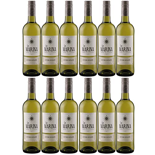 Domaine de Menard La Marina Cuvee Oceane VDP Côtes de Gascogne Weißwein Wein Trocken Frankreich I Visando Paket (12 x 0,75l) von Domaine de Menard