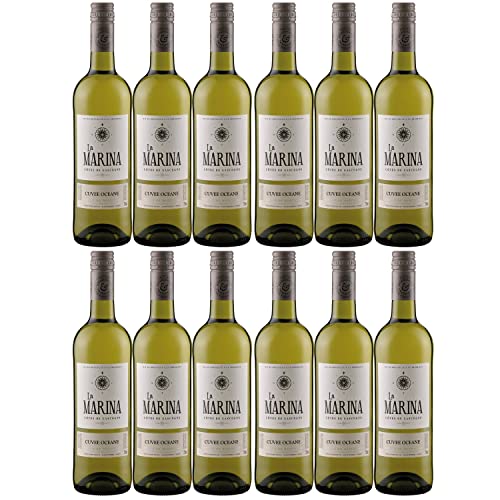 Domaine de Menard La Marina Cuvee Oceane VDP Côtes de Gascogne Weißwein Wein Trocken Frankreich I Visando Paket (12 x 0,75l) von Domaine de Menard