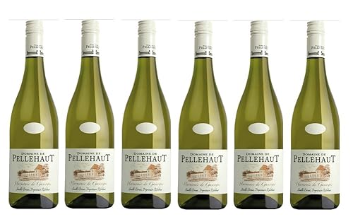 6x 0,75l - 2023er - Domaine de Pellehaut - Harmonie de Gascogne - Côtes de Gascogne I.G.P. - Frankreich - Weißwein trocken 6x 0,75l - 2023er - Domaine de Pellehaut - Harmonie de Gascogne - Côtes de Gascogne I.G.P. - Frankreich - Weißwein trocken von Pellehaut