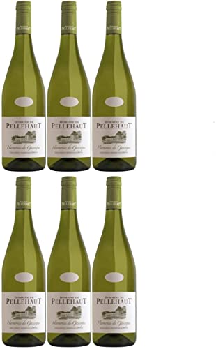 Domaine de Pellehaut Harmonie de Gascogne Blanc Côtes de Gascogne Weißwein trocken IGP Frankreich I Versanel Paket (6 Flaschen) von Domaine de Pellehaut