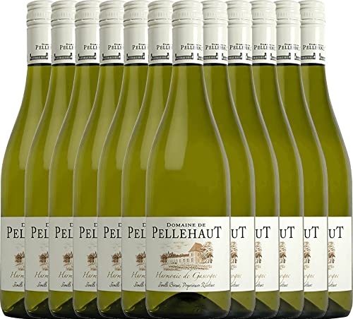 Harmonie de Gascogne Blanc von Domaine de Pellehaut - Weißwein 12 x 0,75l 2022 VINELLO - 12er - Weinpaket inkl. kostenlosem VINELLO.weinausgießer von Domaine de Pellehaut