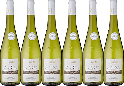 6x Muscadet Sèvre et Maine sur lie 2022 - Domaine de la Foliette, Vallée de la Loire - Weißwein von Domaine de la Foliette