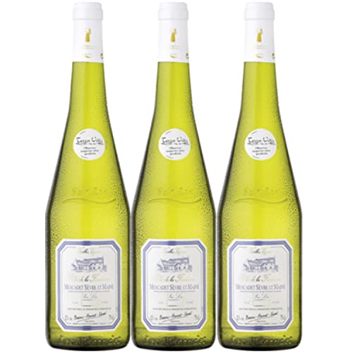 Clos de la Fontaine Muscadet Sèvre et Maine Sur Lie Weißwein vegan trocken AOC Frankreich I Versanel Paket (3 Flaschen) von Domaine de la Foliette