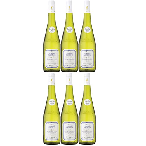 Clos de la Fontaine Muscadet Sèvre et Maine Sur Lie Weißwein vegan trocken AOC Frankreich I Versanel Paket (6 Flaschen) von Domaine de la Foliette