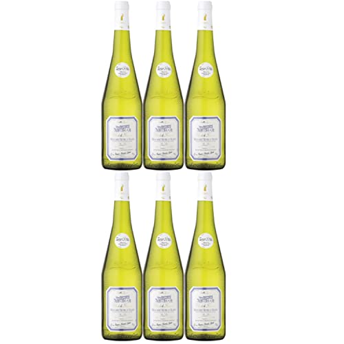 Clos de la Fontaine Muscadet Sèvre et Maine Sur Lie Weißwein vegan trocken AOC Frankreich I Versanel Paket (6 Flaschen) von Domaine de la Foliette
