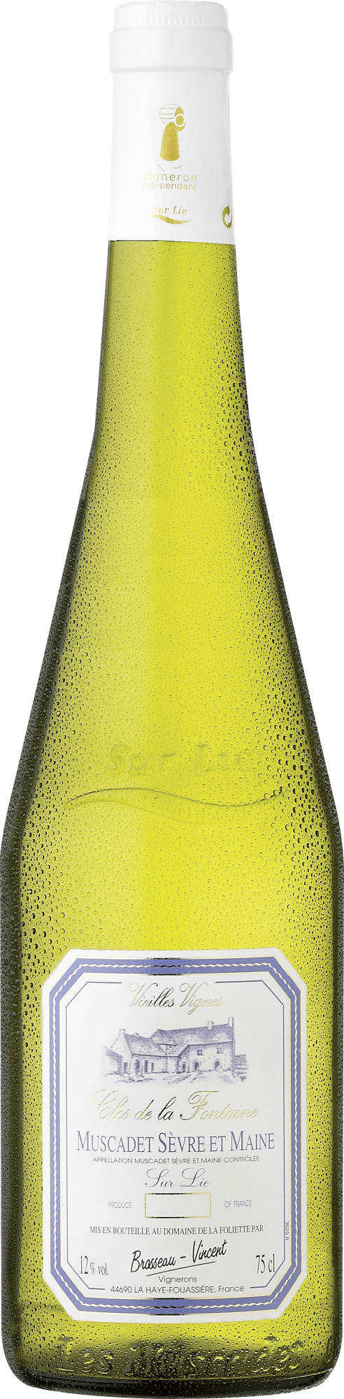 Clos de la Fontaine Muscadet Sèvre et Maine Sur Lie Clos de la Fontaine Muscadet Sèvre et Maine Sur Lie