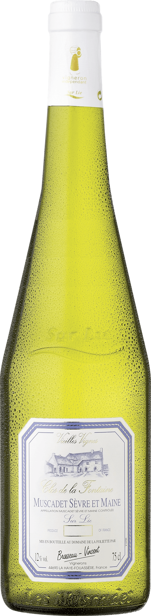 Clos de la Fontaine Muscadet Sèvre et Maine Sur Lie von Domaine de la Foliette