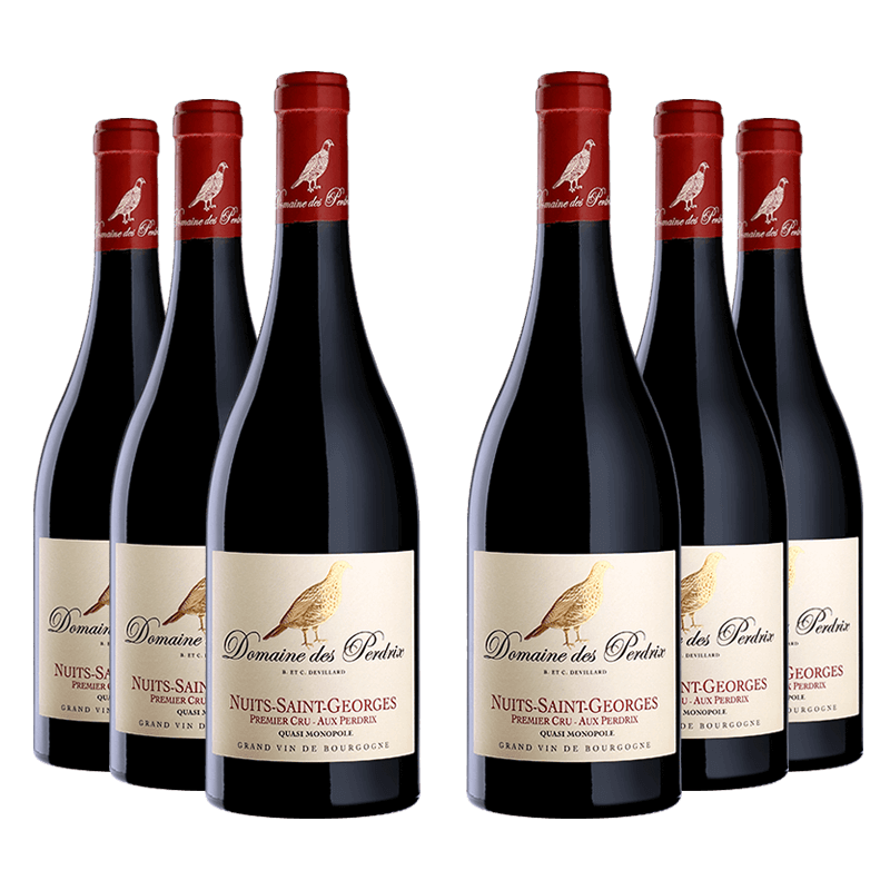 Domaine des Perdrix : Nuits-Saint-Georges 1er cru "Aux Perdrix" 2023 von Domaine des Perdrix
