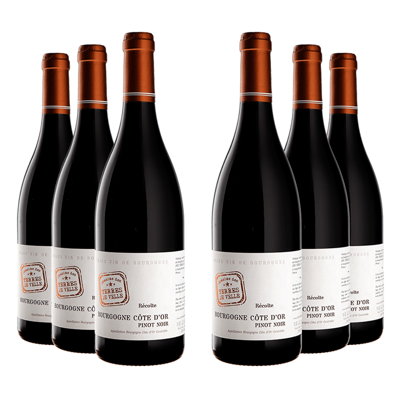 Domaine des Terres de Velle : Bourgogne Côte d'Or "Pinot Noir" 2022 Domaine des Terres de Velle : Bourgogne Côte d'Or "Pinot Noir" 2022 von Domaine des Terres de Velle