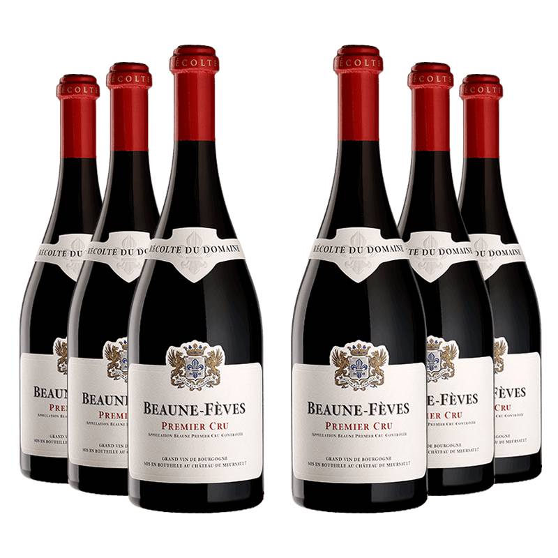 Domaine du Château de Meursault : Beaune 1er cru "Fèves" 2020 von Domaine du Château de Meursault