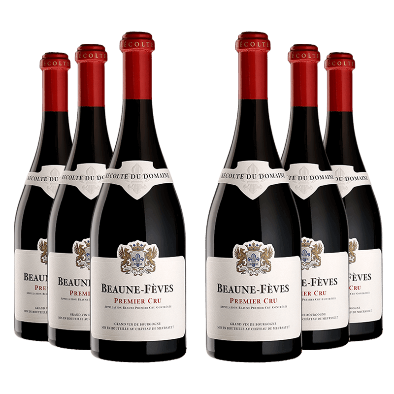 Domaine du Château de Meursault : Beaune 1er cru "Fèves" 2021 Domaine du Château de Meursault : Beaune 1er cru "Fèves" 2021 von Domaine du Château de Meursault
