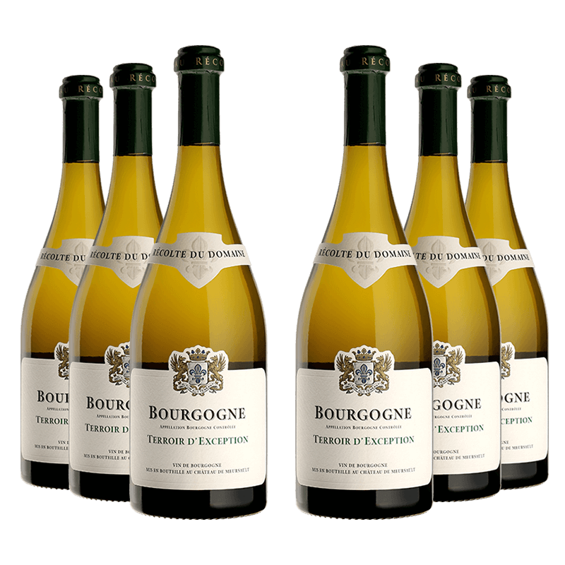 Domaine du Château de Meursault : Bourgogne Terroir d'Exception 2022 von Domaine du Château de Meursault